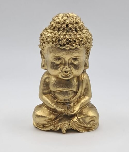 Electronite Buda Meditando