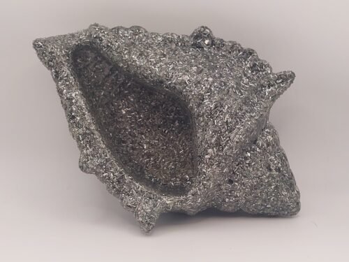 Electronite Caracola Modelo 2